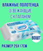 Влажные полотенца очищающие универсальные, 60шт с клапаном 170 х 250 1/15